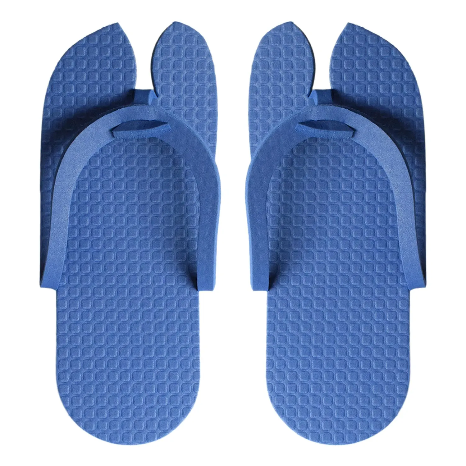 Kuber Industries Rubber Bathroom Slipper For Men & Women 2 Pair (Blue) 54KM4205